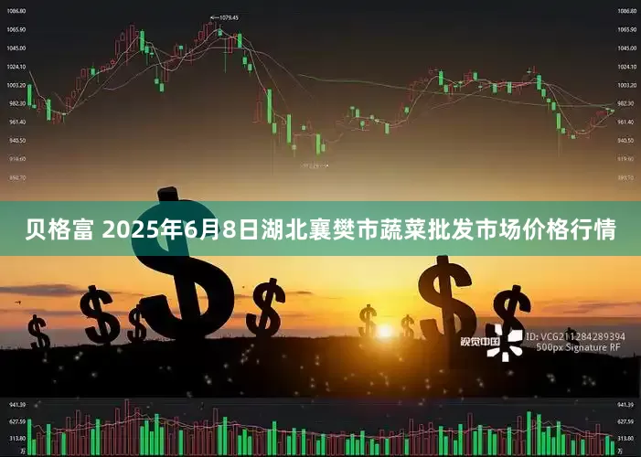 贝格富 2025年6月8日湖北襄樊市蔬菜批发市场价格行情